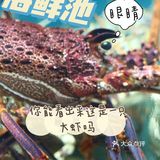 三亚旅游在这里让你置身外国小镇