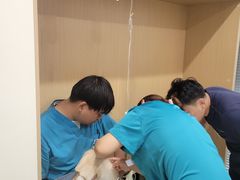 -美迦爱-牙专科·兔科·骨科诊疗中心(北苑店)
