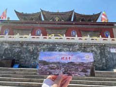 -塔尔寺菩提树