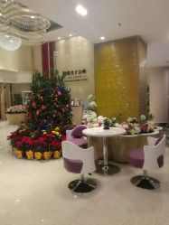 -生命加•Q考拉月子会所(玫瑰园店)
