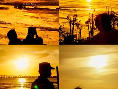 -宝安西湾红树林湿地公园