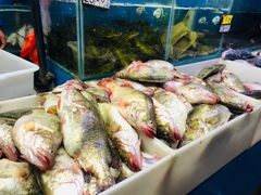 -岳各庄批发市场(西四环中路店)