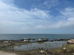 -养马岛旅游度假区