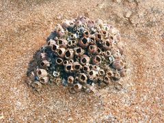 -嵊泗基湖沙滩