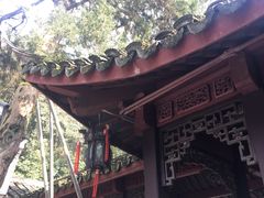 -杭州黄龙洞