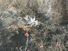 -北京凤凰岭