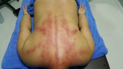 -蓝丝带产后恢复中心(清扬茂业店)