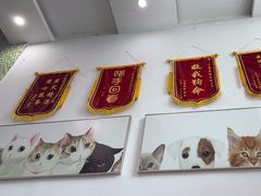 -爱侣宠医·鹦鹉专科·小型哺乳类·异宠专科(灵石路店)