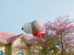 -史努比缤纷世界