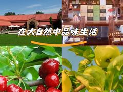 -意大利农场度假村