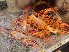 -强记海鲜·大排档(蛇口新街店)