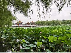 -长春市南湖公园