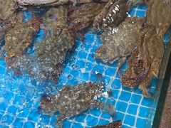 -梦都海鲜酒家(万达广场江桥店)