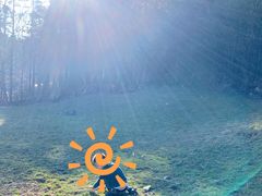 -武陵山森林公园