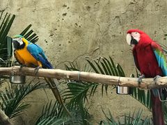 -杭州开元森泊度假乐园