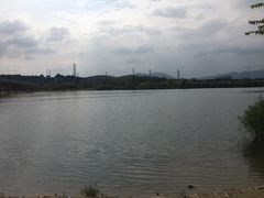 -永定河休闲森林公园