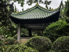 -叶家花园