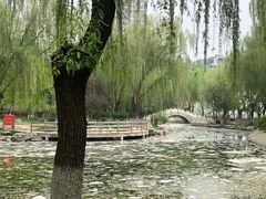 -丰台科技园生态主题公园