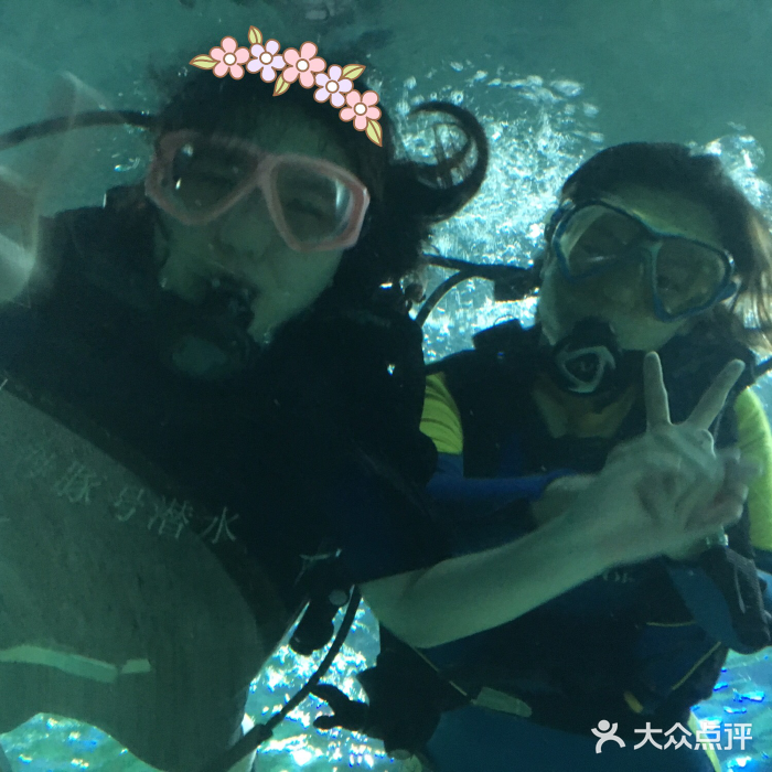 海豚号潜水俱乐部(富国海底世界潜水体验)图片