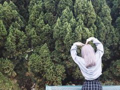 -南沙蒲洲花园