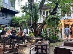 -Fern Forest Cafe