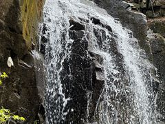 -本溪汤沟绿石谷森林公园