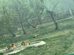 -西安秦岭野生动物园