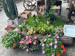 -大理文庙(大理古城)