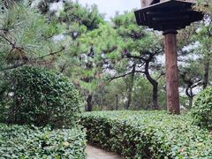 -北京张裕爱斐堡酒庄