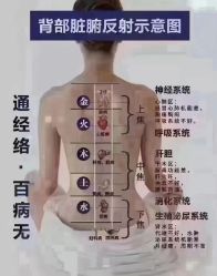 -YESIDO椰岛美容