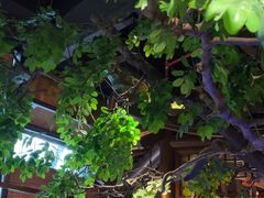 -佬麻雀·剁椒鱼头(京基KK One店)