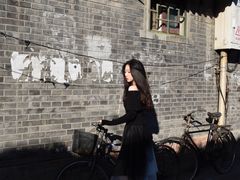 -北京国子监胡同