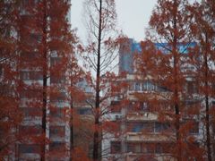 -浙江省杭州高级中学(贡院校区)