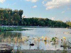 -长春市南湖公园