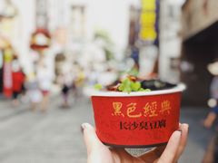 -黑色经典臭豆腐·湖南特产(潇湘文化店)