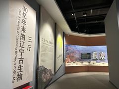 -辽宁古生物博物馆