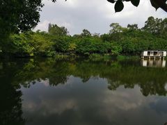 -老木棉·匠园