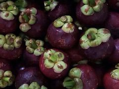 -红星农博物流中心