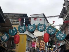 -猫咪博物馆(顶澳仔猫街店)