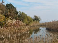 -上海吴淞炮台湾国家湿地公园
