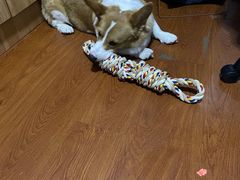 -宠福鑫康馨动物医院·骨科·眼科