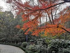 -杭州半山国家森林公园