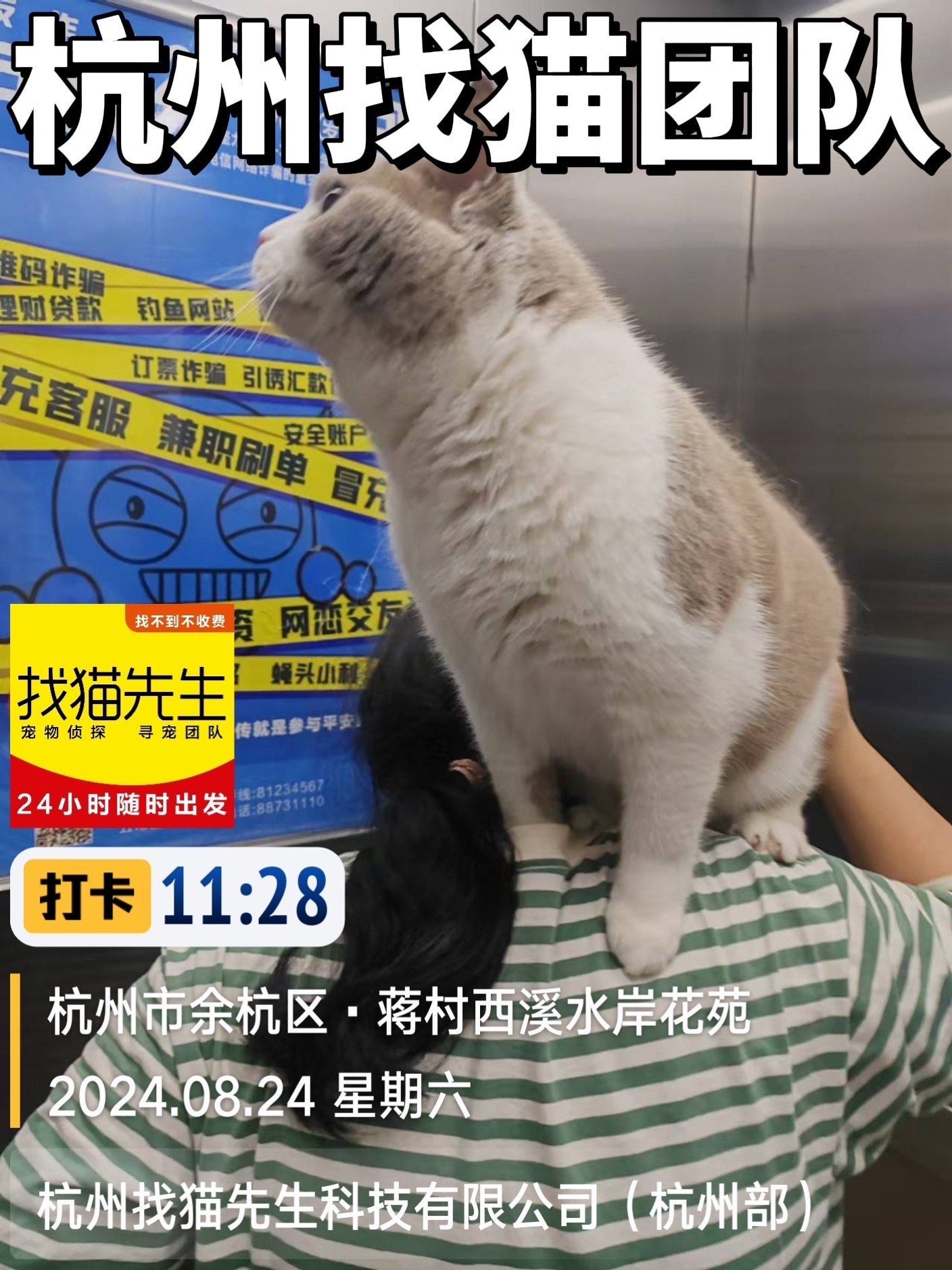 猫丢了如何快速找猫