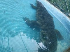 -广州长隆飞鸟乐园