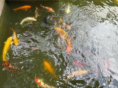 -嘉定博物馆