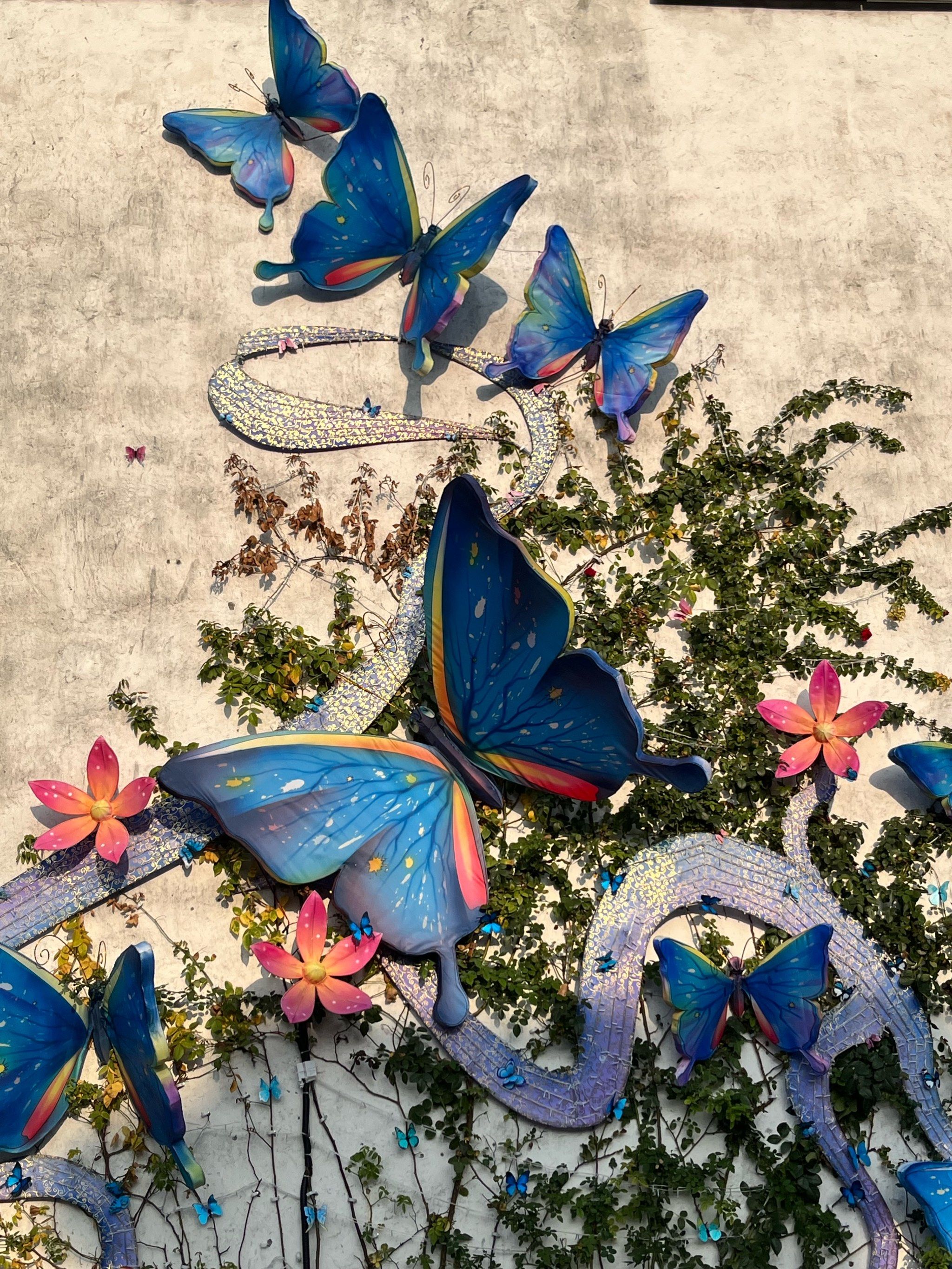 惠山古镇蝴蝶墙