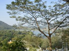 -水濂山森林公园