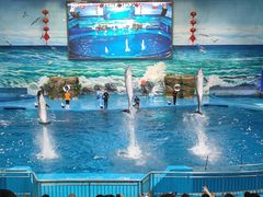 -多彩贵州城极地海洋世界