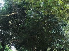 -缙云山景区