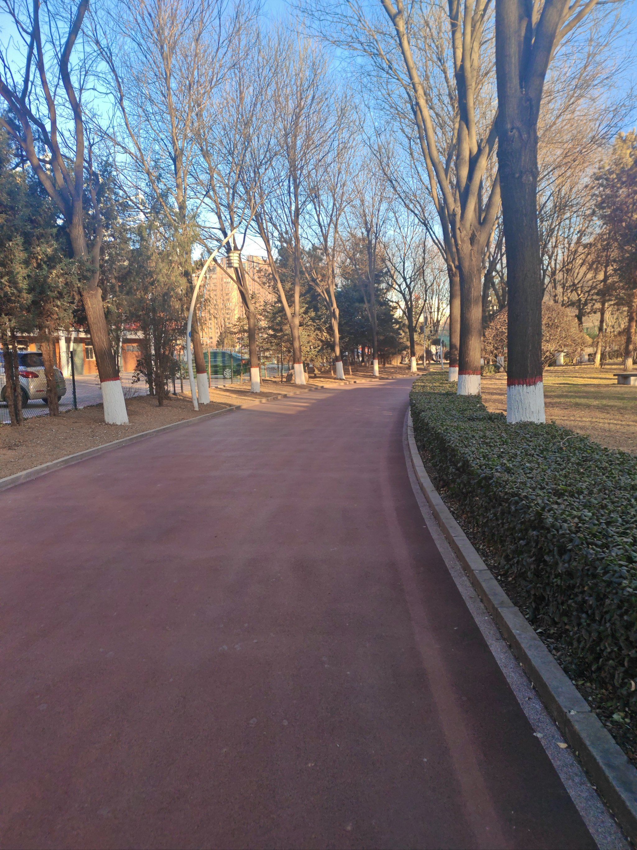 公园跑步的快乐